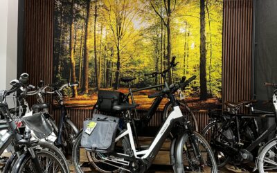 Zorg goed voor uw e-bike in de herfst