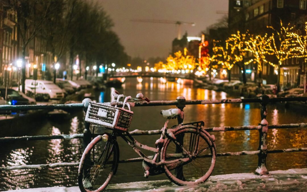 Bescherm uw fiets tegen pekelschade